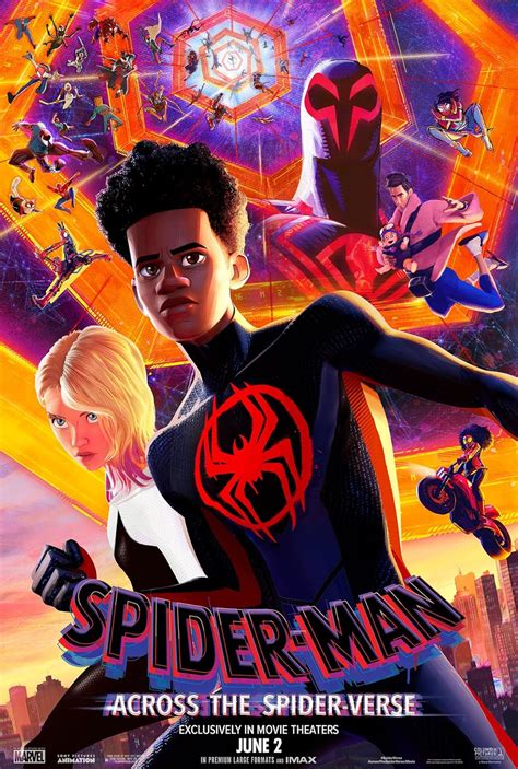 across the spider verse imdb rating|spin man across the spider verse 2023.